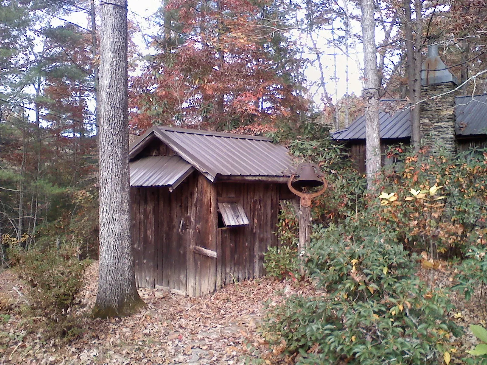Small metal roof on a rough sawn shed in the woods in Uehling
